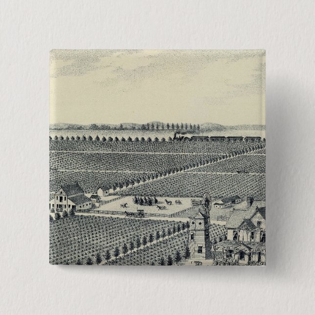 Landkreis Caledonia Vineyard, Fresno Button (Vorderseite)