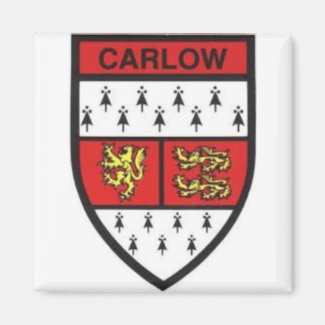 Landkreis Carlow Irland Magnet (Vorne)