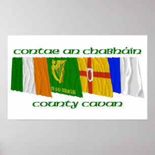 Landkreis Cavan Flags Poster