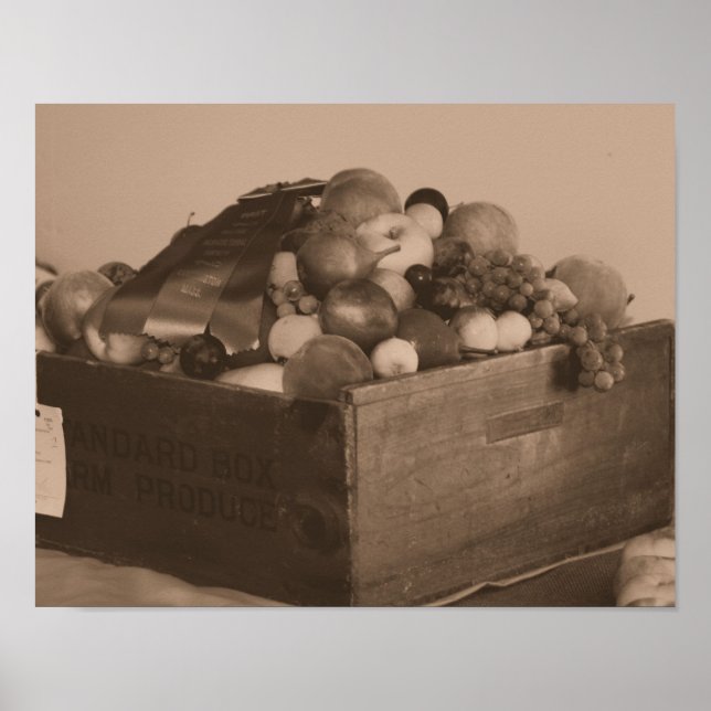 Landkreis Fair Blue Ribbon Erster Preis Frucht in  Poster (Vorne)