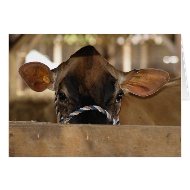 Landkreis Fair Card (Vorderseite (Horizontal))