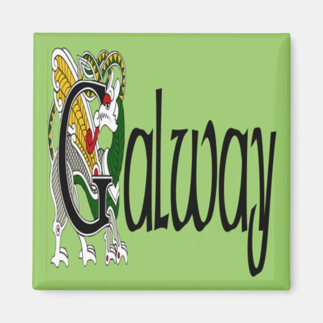 Landkreis Galway Magnet (Vorne)