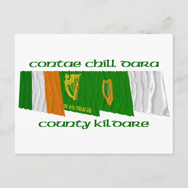 Landkreis Kildare Flags Postkarte (Vorderseite)