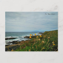 Landkreis Sligo, Irland Postcard Postkarte