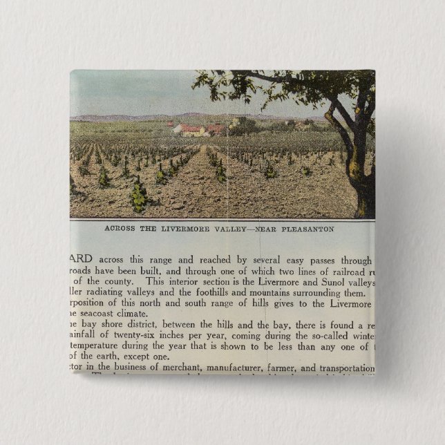 Landkreis Verso Alameda Button (Vorderseite)