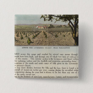 Landkreis Verso Alameda Button