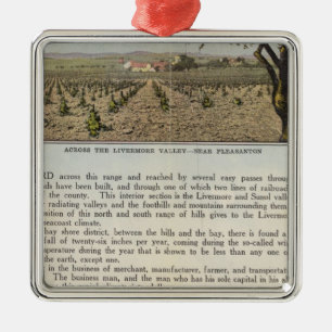 Landkreis Verso Alameda Silbernes Ornament