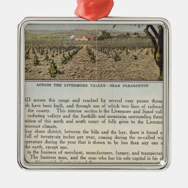 Landkreis Verso Alameda Silbernes Ornament (Vorne)