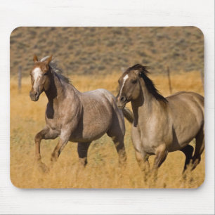 Landleben auf der Ponderosa Ranch Mousepad