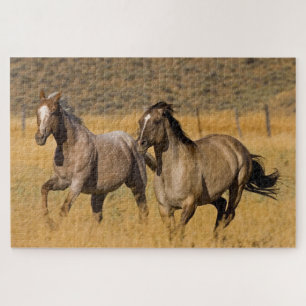 Landleben auf der Ponderosa Ranch Puzzle