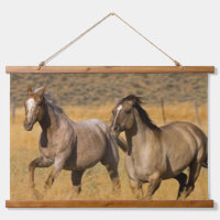 Landleben auf der Ponderosa Ranch