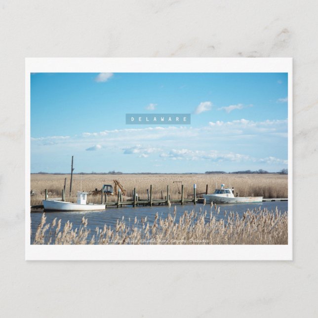 Ländlich und wild Delaware. Postkarte (Vorderseite)