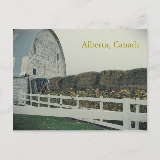 Ländliche Alberta-Ansichtskarte Postkarte (Vorderseite)