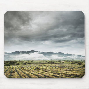 Ländliche Ernte-Felder unter bewölktem Himmel Mousepad