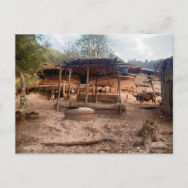 Ländliche Hütte aus Holz mit Tieren, Laos Postkarte