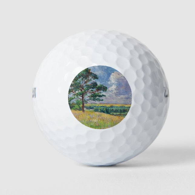 Ländliche Landschaft um Méréville, Frankreich (Art Golfball (Vorderseite)