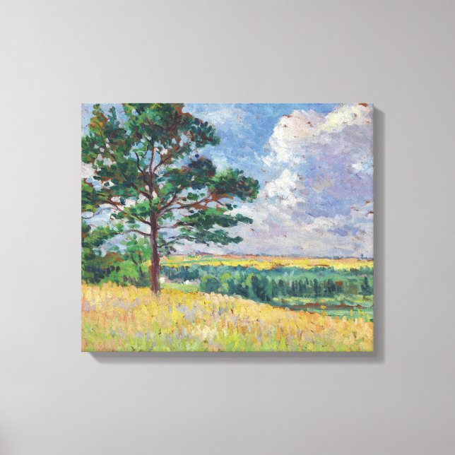 Ländliche Landschaft um Méréville, Frankreich (Art Leinwanddruck (Vorderseite)