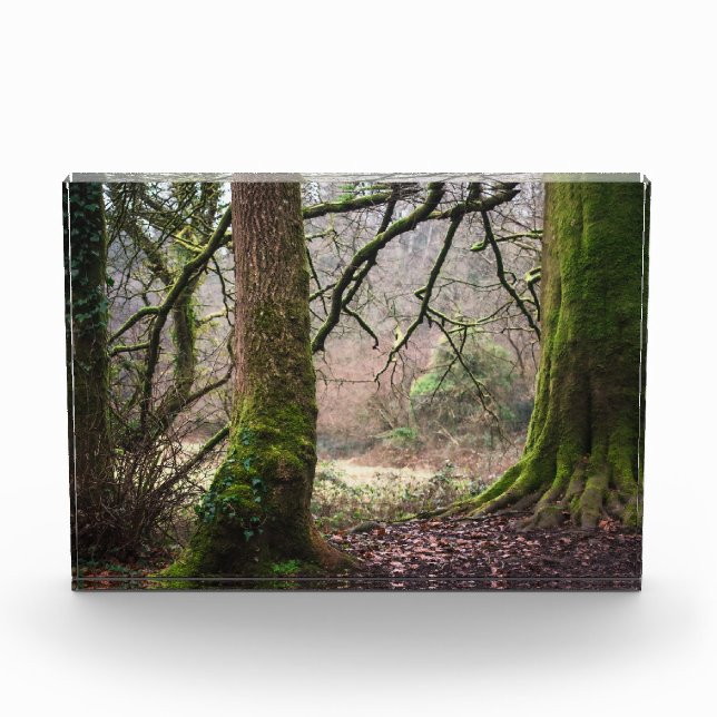 Ländliche Magie Fotoblock (Vorderseite)