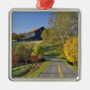 Ländliche Straße durch die Bluegrass-Region von Ke Silbernes Ornament