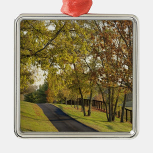 Ländliche Straße durch die Bluegrass-Region von Ke Silbernes Ornament