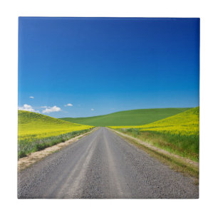 Ländliche Straße durch Frühjahrs-Rapsfelder Fliese