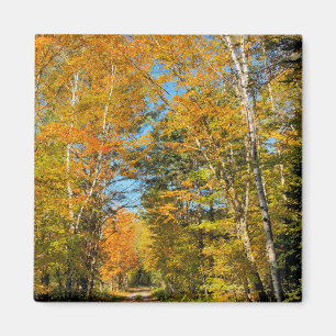 Ländliche Straße Herbstfarben New Hampshire Magnet
