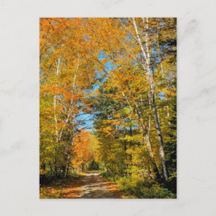 Ländliche Straße Herbstfarben New Hampshire Postkarte
