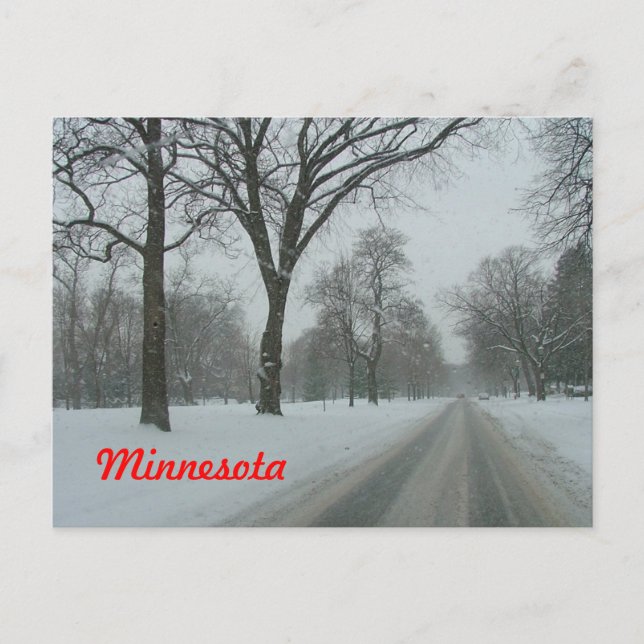 Ländliche Straße in Minnesota Postkarte (Vorderseite)
