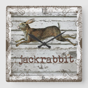Ländliche Vintage-Jackrabbit-Hasen-Zeichnung Weiße Quadratische Wanduhr