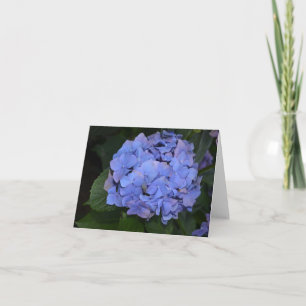 Ländliche Violette Hydrangea macrophylla Karte