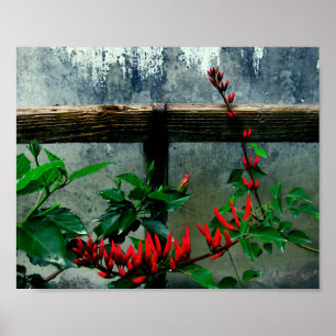Ländlicher Garten Blumen Poster