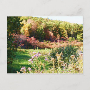 LÄNDLICHER NEW YORK STAAT Postkarte