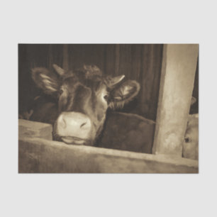 Ländlicher Vintage-Sepia-Kuh-Alter Stall Seidenpapier