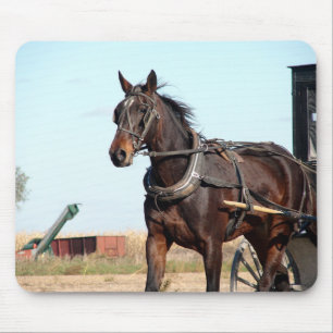 Ländliches Pferd und Buggy Mousepad