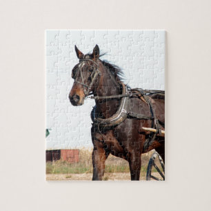 Ländliches Pferd und Buggy Puzzle