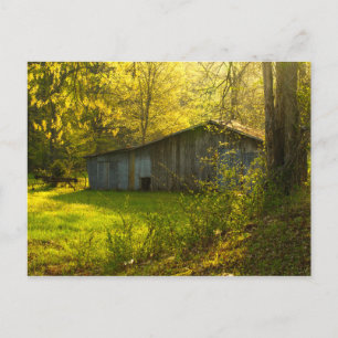 Ländliches Tennessee Frühlingsmorgenlicht Postkarte