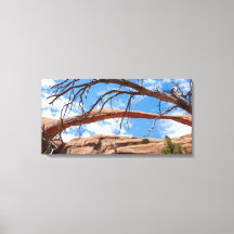 Landscape Arch, Arches-Nationalpark, Utah