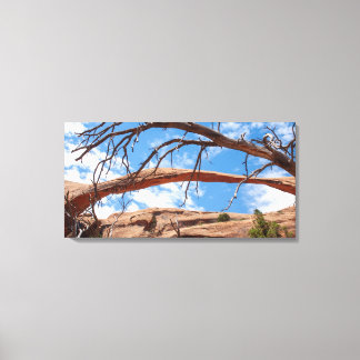 Landscape Arch, Arches-Nationalpark, Utah Leinwanddruck