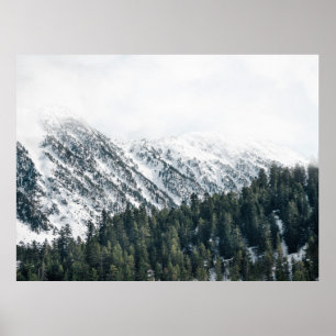 LANDSCAPE FOTOGRAFIE DER BÄUME POSTER