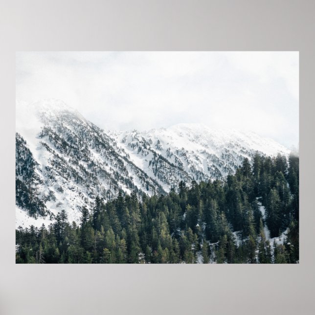 LANDSCAPE FOTOGRAFIE DER BÄUME POSTER (Vorne)