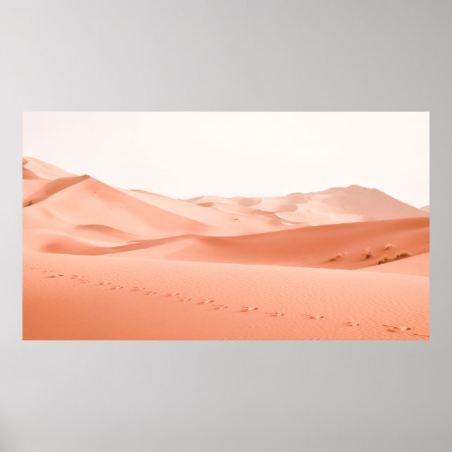 LANDSCAPE-FOTOGRAFIE DES DESSERTS POSTER (Vorne)