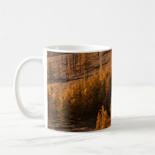 LANDSCAPE FOTOGRAFIE VON BROWNBÄUMEN KAFFEETASSE
