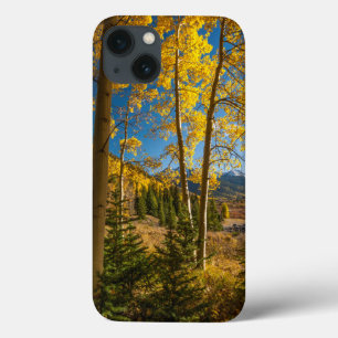 Landscape in San Juan Mountains Case-Mate iPhone Hülle