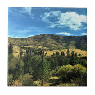 Landschaft am Fluss Snake, Oregon Fliese