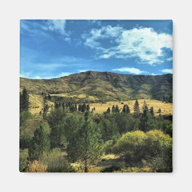 Landschaft am Fluss Snake, Oregon Magnet (Vorne)