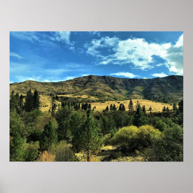 Landschaft am Fluss Snake, Oregon Poster (Vorne)