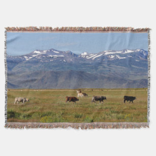 Landschaft an der California HWY 395 Decke