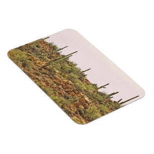 Landschaft Arizona Cactus Magnet