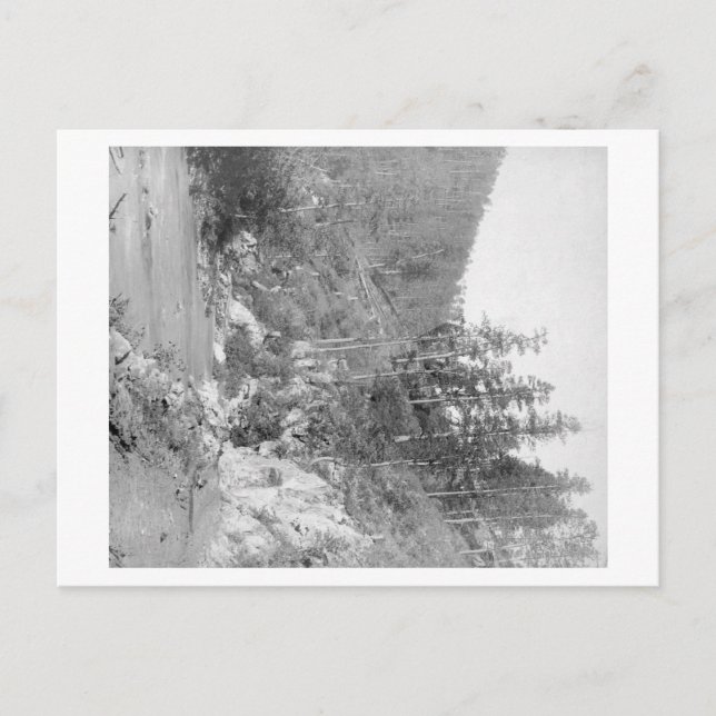 Landschaft auf der Deadwood Road nach Sturgis Postkarte (Vorderseite)