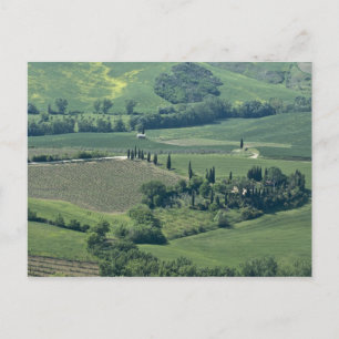 Landschaft bei Montepulciano, Val d'Orcia, Postkarte